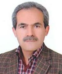 مجید حیدری